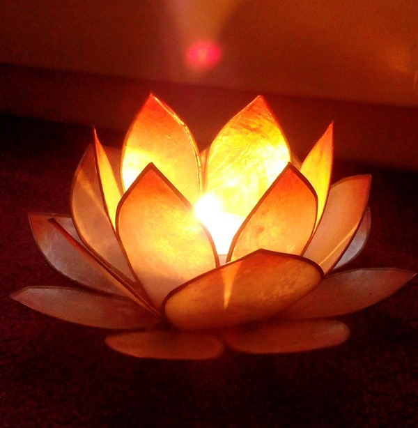 Lotuslicht